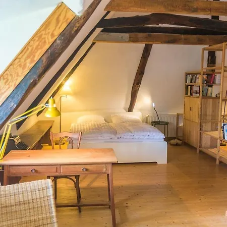 Reetdachhaus Mit Elbblick Apartment Lenzerwische