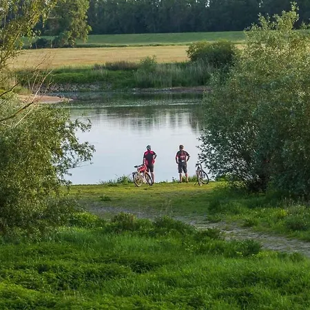 Reetdachhaus Mit Elbblick * Lenzerwische