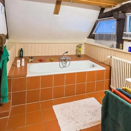 Reetdachhaus Mit Elbblick